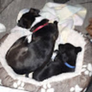 Meet your Posher, Ariana